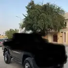 بوالين وجنوط فتك حديد