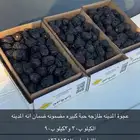 تمر عجوه المدينه