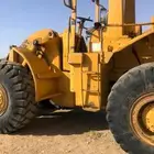مطلوب شيول