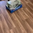 علب تعبئه ببسي