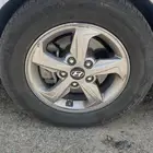 جنوط النترا 2017