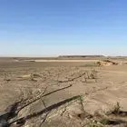 مزرعة شمال بريدة بكبد 80 كيلو صكين والمطلوب 250 الف