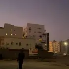 بغبغاء ضياع