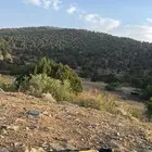 ابحث عن شقه جديده مدخلين دور اول