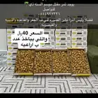 تمر مفتل القصيم