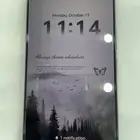 Honor 400