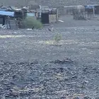 مزرعه للايجار
