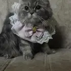 123