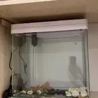 للبيع حوض اسماك شبه جديد
