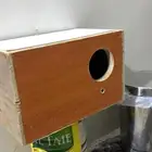 بياضة كروان روز كنيور صن كنيور