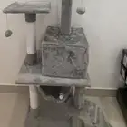 برج القطط جديد واكل للقطط