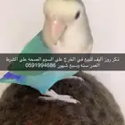 ذكر روز