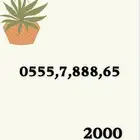 ارقام مميزة STC