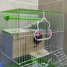 عصفور