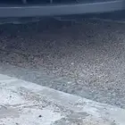 لوحه نقل خاص مميزه