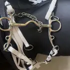 شكيمة بلهم ماطبت فم الحصان