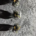 تيب شعر هندي طبيعي