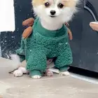 كلب بومارينيان لتبني