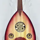 عود مصري رش