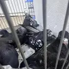 حمام للبيع