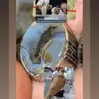 عقيق يماني مصور الجميع نوادر