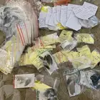 تحليل طيور DNA