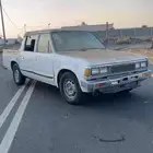 اول شي الصلاة على النبي عرض اليوم ددسن غمارتين