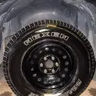 جنوط تاهو