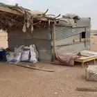 صندقة شينكو للبيع