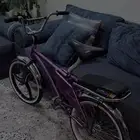 سيكل رانبو