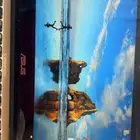 لاب توب اوسيس