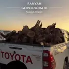 حطب كفو كفو كفو خشب