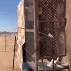 شبك حمام   دجاج