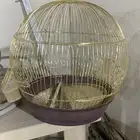 قفص طير مالي عازه فيه