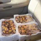 رطب