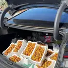 تمر روثانا للبيع