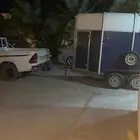 عربة نقل خيل راسين فور وليام داخل الرياض وخارج