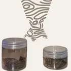 عود ملكي فاخر