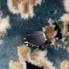 خاتم رجالي فضه