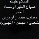 مطلوب خيل شعبي - انجليزي