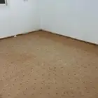 زوليه