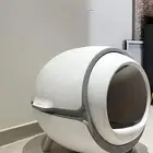 اغراض قط للبيع