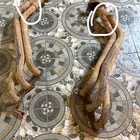 هدرز ربع راسين ناقص الدبه الخلفيه