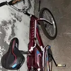 رامبو عنابي )