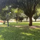 كامري او كورولا مديل 22