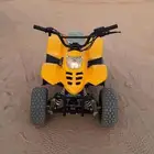 دباب مقاس 50