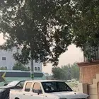 للبيع او للبدل ددسن