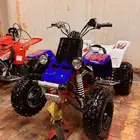 دباب بانشي 2011