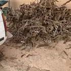 حوض ددسن للبيع