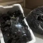 تمر عجوة
